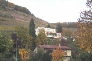178301203047276578-picture.jpg
